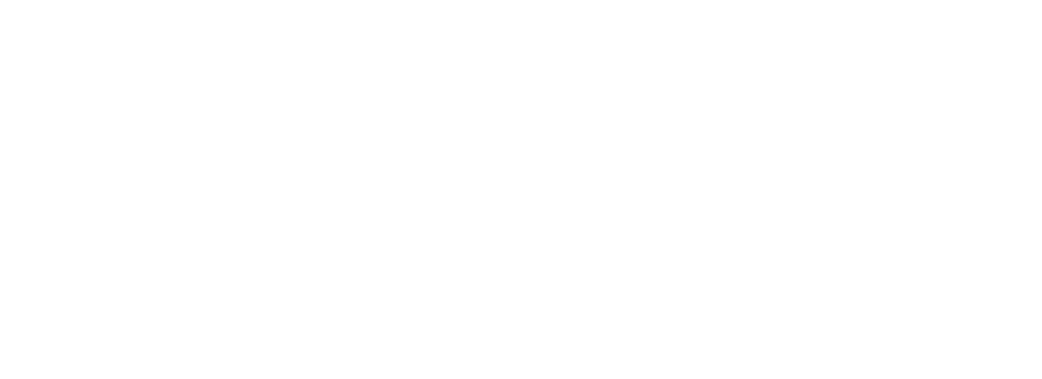 endlr - Modern Web Solutions